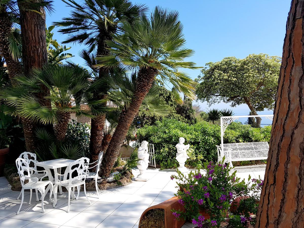 Ischia Dream Visions Apartment Ngoại thất bức ảnh