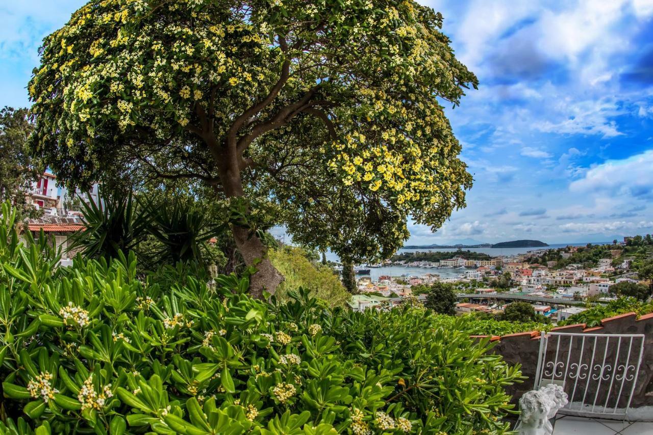Ischia Dream Visions Apartment Ngoại thất bức ảnh