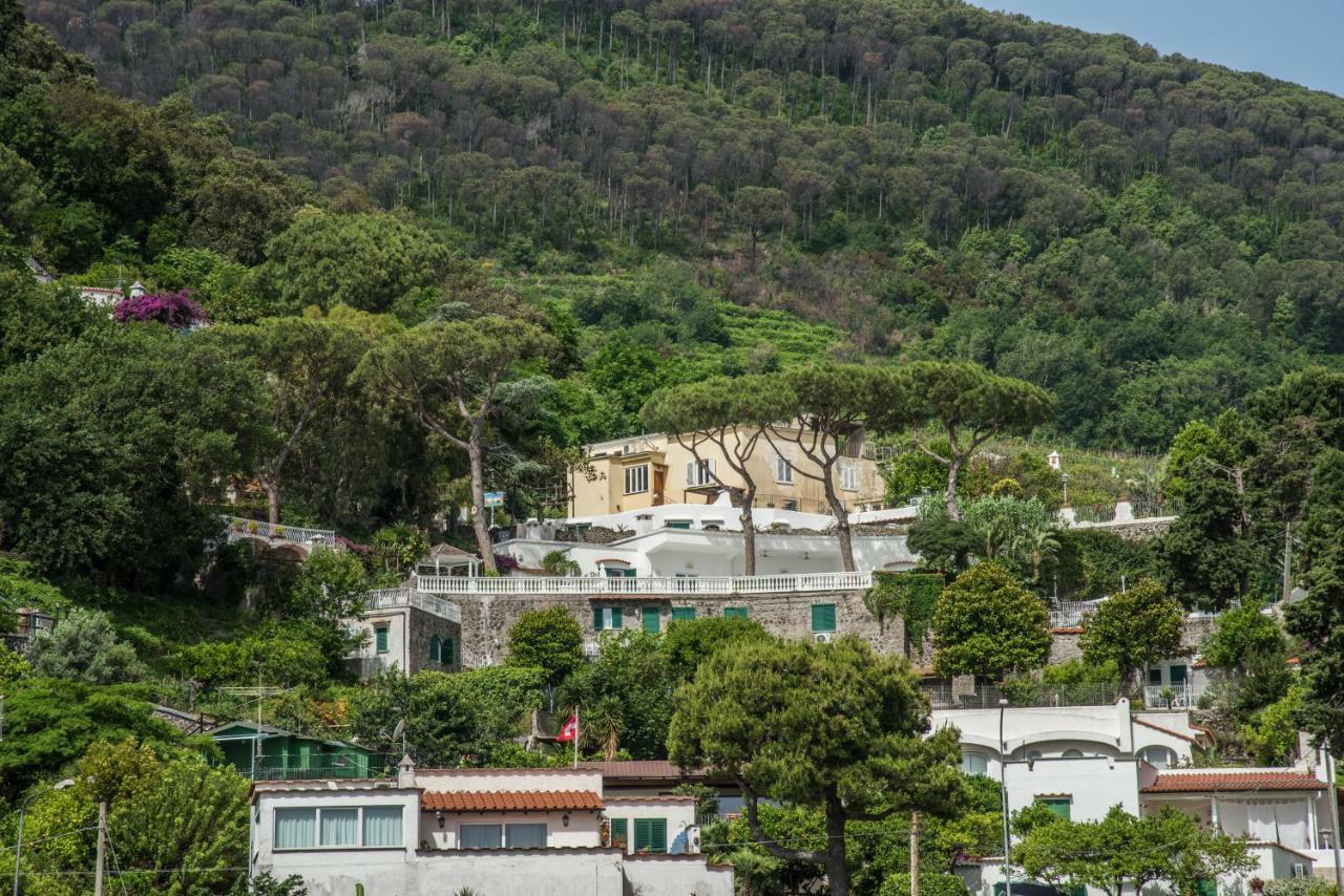 Ischia Dream Visions Apartment Ngoại thất bức ảnh